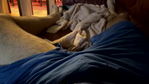 Cjd32 online show from 13, 12, 2024