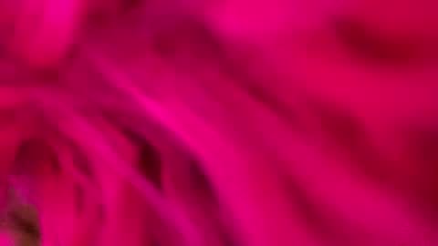 clarkshammer95 online show from 3, 3, 2025