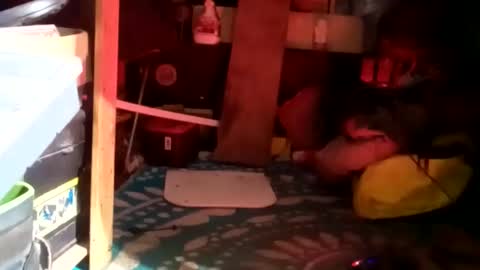 HeyTurkeyBoy online show from 23, 1, 2025