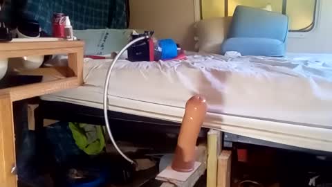 HeyTurkeyBoy online show from 19, 9, 2025