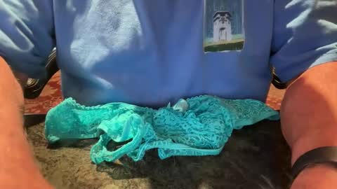 Cock 4u 247 online show from 17, 4, 2026