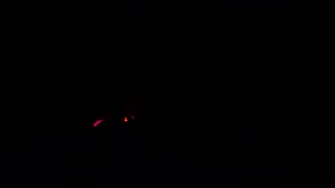 cockdoctor11 online show from 24, 10, 2025