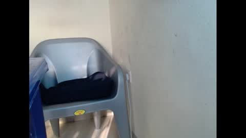 Snapshot of cockfanx chatting on 26, 1, 2025 cockfanx online show from 26, 1, 2025