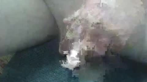 Snapshot of cocktoys chatting on 2, 2, 2026 cocktoys online show from 2, 2, 2026