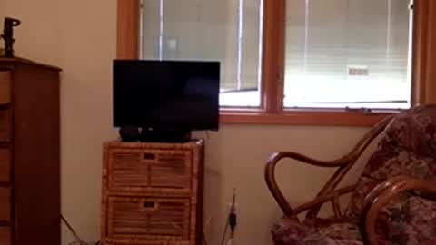 Snapshot of codebynova chatting on 8, 11, 2025 Code By Nova online show from 8, 11, 2025