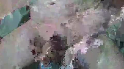 Snapshot of cogela_sin_miedo chatting on 6, 10, 2025 cogela_sin_miedo online show from 6, 10, 2025