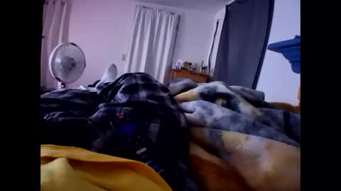 Snapshot of connlee10929154 chatting on 19, 3, 2026 connlee10929154 online show from 19, 3, 2026