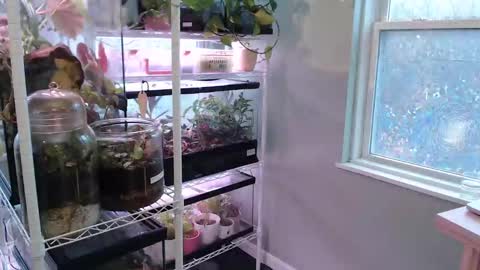 ANR Mommy online show from 9, 11, 2025