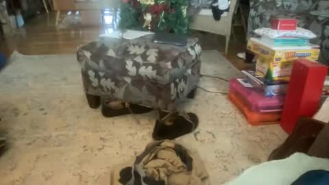 whatever you want it to be online show from 17, 12, 2024