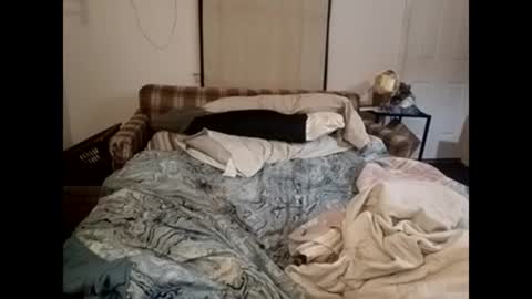 coopstone online show from 24, 1, 2025