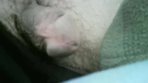 core-i007 online show from 14, 4, 2026