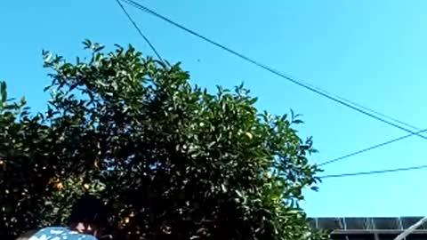 Snapshot of corpusrichard78 chatting on 3, 3, 2025 corpusrichard78 online show from 3, 3, 2025