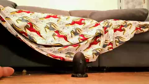 Andy sissy room online show from 26, 9, 2025