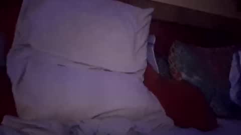 Cowboy-Ohiolook online show from 8, 1, 2026