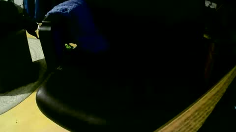 coyote017 online show from 1, 11, 2025