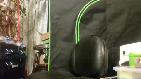 crackback_kyd online show from 14, 2, 2026