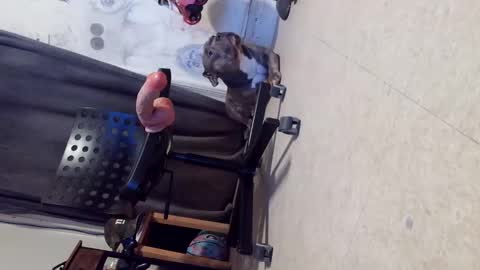 drbucknaked online show from 29, 10, 2025