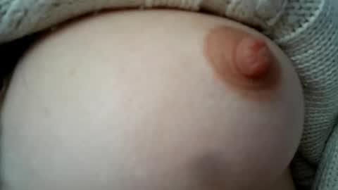 cremina online show from 29, 11, 2025