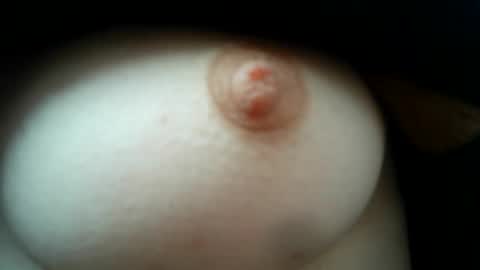 cremina online show from 24, 4, 2026