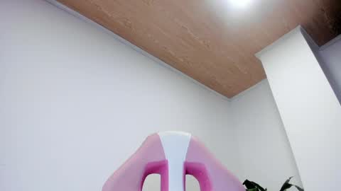 sofia online show from 31, 3, 2026