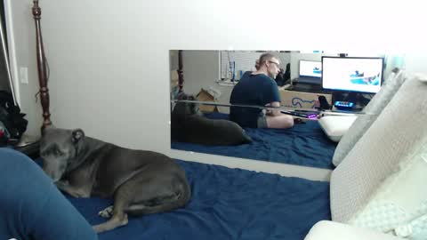 Crownandkat online show from 19, 3, 2026