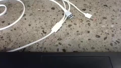 cruelworldxxx online show from 22, 2, 2026