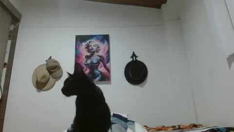 Crystal Blaze online show from 17, 3, 2026