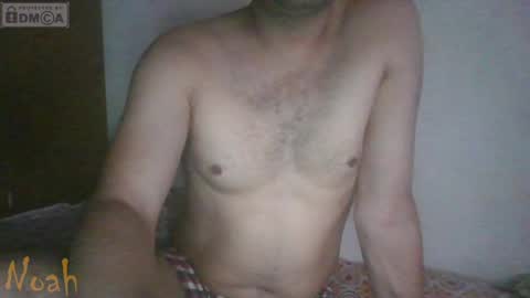 Noha online show from 8, 4, 2026