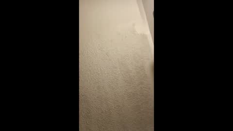 Snapshot of cumplay79 chatting on 19, 1, 2026 cumplay79 online show from 19, 1, 2026