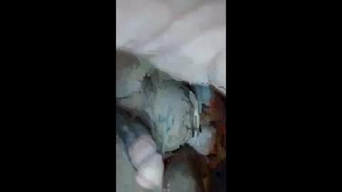 Snapshot of cumsinmealot chatting on 23, 9, 2025 Aprilia online show from 23, 9, 2025