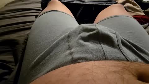 cumvet online show from 30, 9, 2025