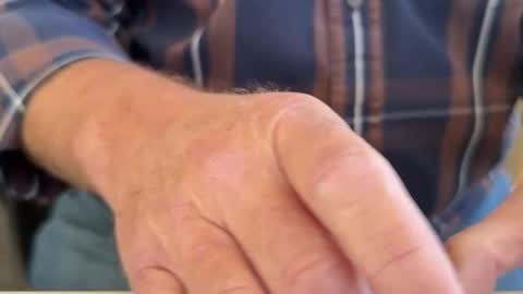 curio online show from 3, 4, 2026