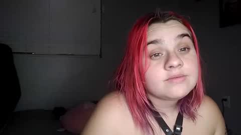 Lucifina ganja kittens online show from 19, 12, 2024