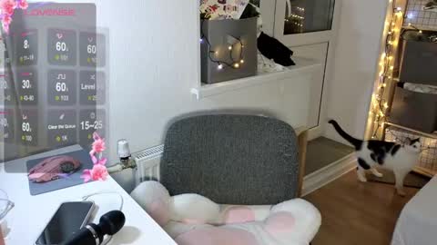 Alice  online show from 5, 12, 2024