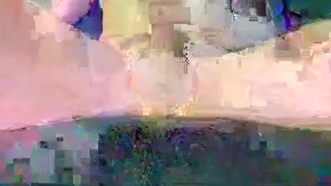 cwaddle online show from 8, 6, 2026