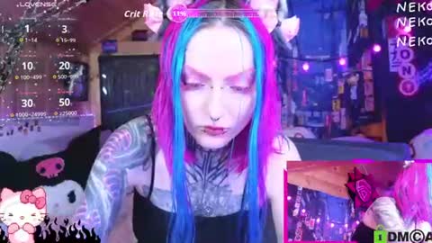Neko online show from 14, 6, 2026