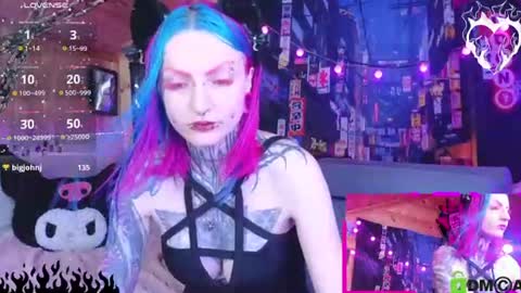 Neko online show from 25, 7, 2026