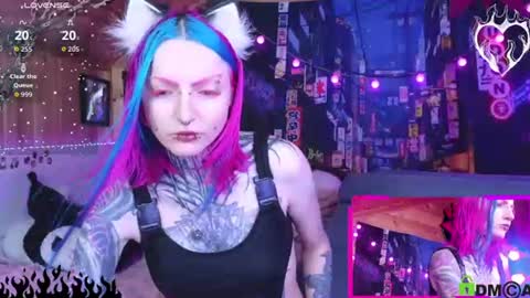 Neko online show from 26, 7, 2026