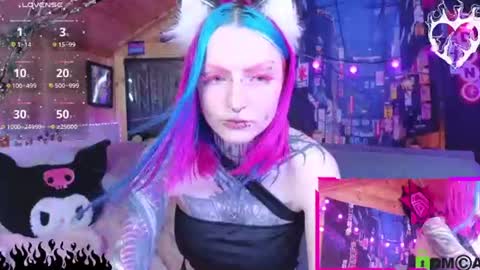 Neko online show from 2, 8, 2026