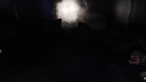 Nikki online show from 13, 2, 2026