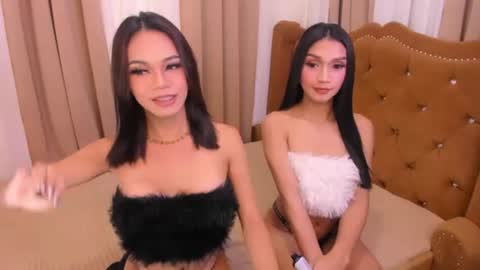 Cy online show from 26, 7, 2026