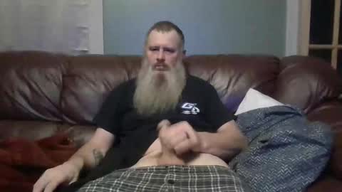 dachshund01 online show from 14, 10, 2025