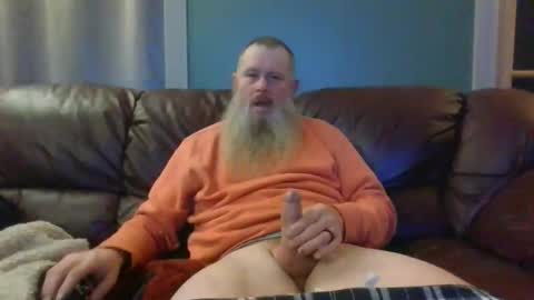 dachshund01 online show from 3, 12, 2025