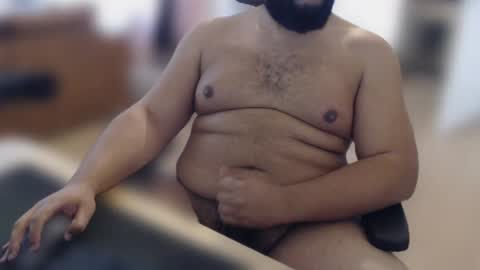 Daddy Bear  Papa Ours online show from 28, 4, 2026