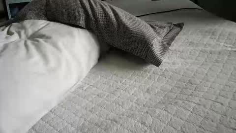 daddyslittleebony online show from 3, 2, 2026