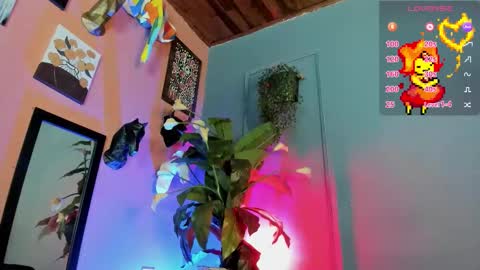 daiisy_kiss online show from 7, 3, 2026