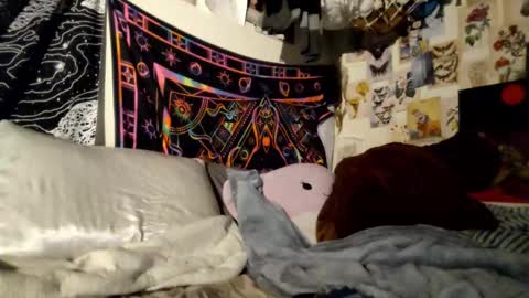 Snapshot of daintydarlingxoxo chatting on 21, 2, 2025 DaintyDarling online show from 21, 2, 2025