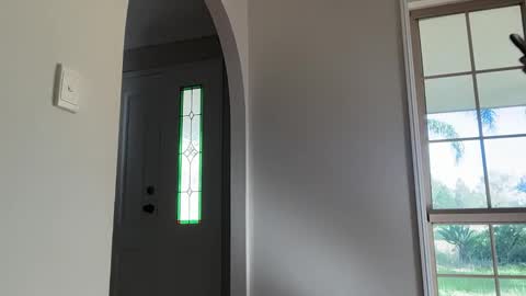 Daisy online show from 15, 3, 2026