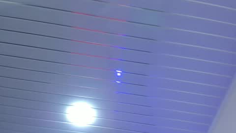 Daisy online show from 3, 11, 2025