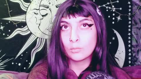 Snapshot of dak_7 chatting on 13, 12, 2024 -- -- help me reach 100 hands up online show from 13, 12, 2024